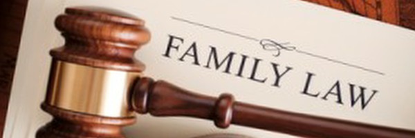 family law in Washington, Oregon, New York and internationally 